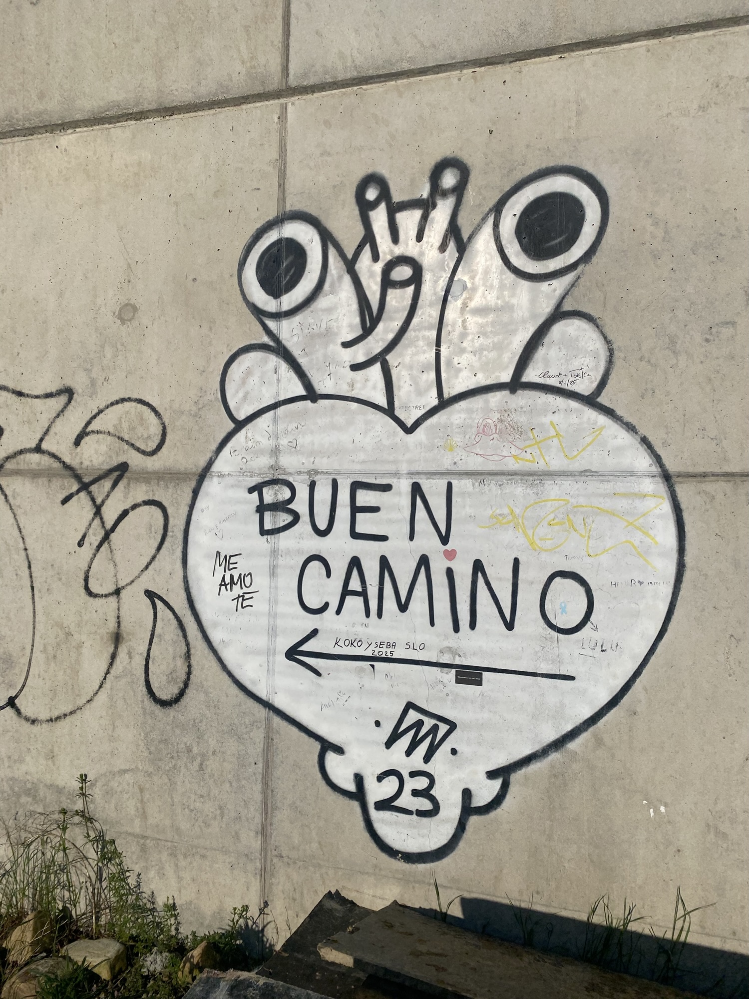 Day 12 on the Camino: from Grañón to Villafranca Montes de Oca