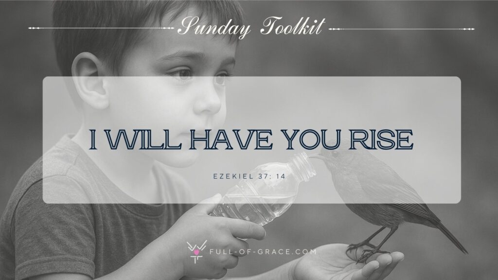 A young boy cares for a fragile bird — text overlay: I will have you rise. Ezekiel 37:14 — Sunday Toolkit graphic, full-of-grace.com