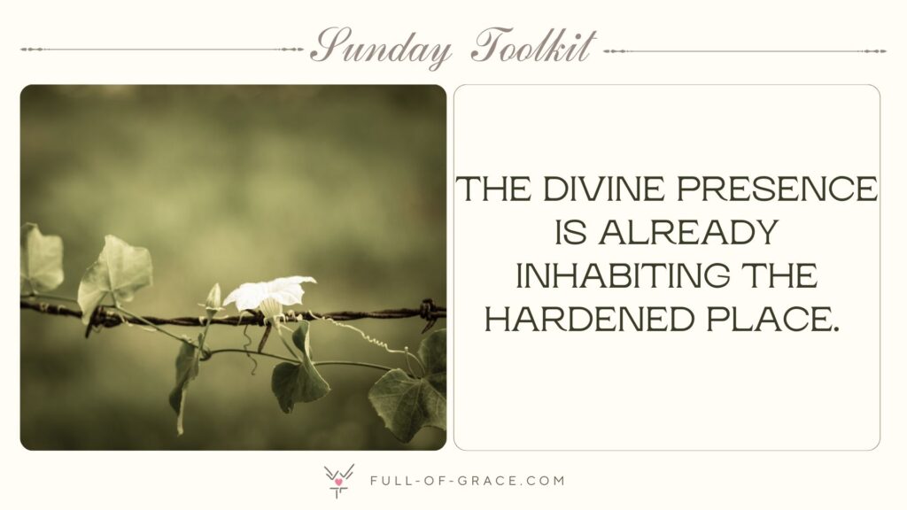 A plant growing over barbed wire — text overlay: The divine presence is already inhabiting the hardened place. — Sunday Toolkit graphic, full-of-grace.com