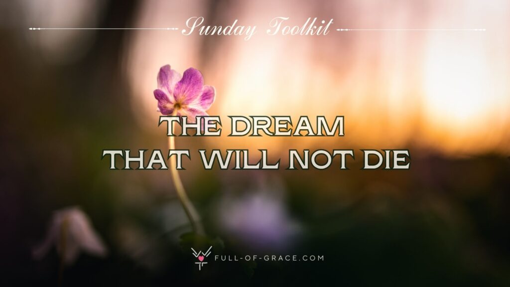 purple flower sprouting towards light — text overlay: The dream that will not die — Sunday Toolkit graphic, full-of-grace.com