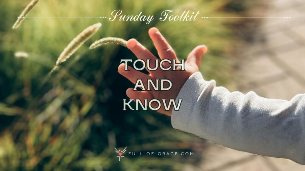 a small child reaching out to touch a plant, sunny, serene path — text overlay: touch and know — Sunday Toolkit graphic, full-of-grace.com