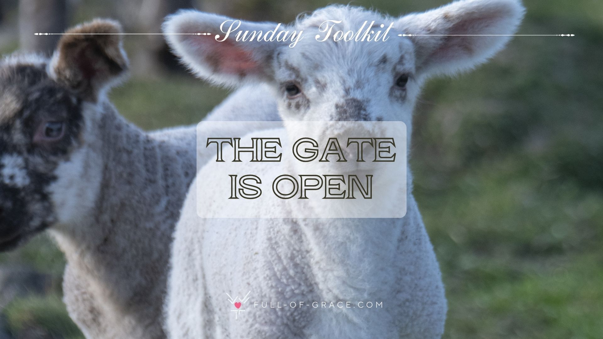 The Gate Is Open – 4th Sunday of Easter, Year A: Resources