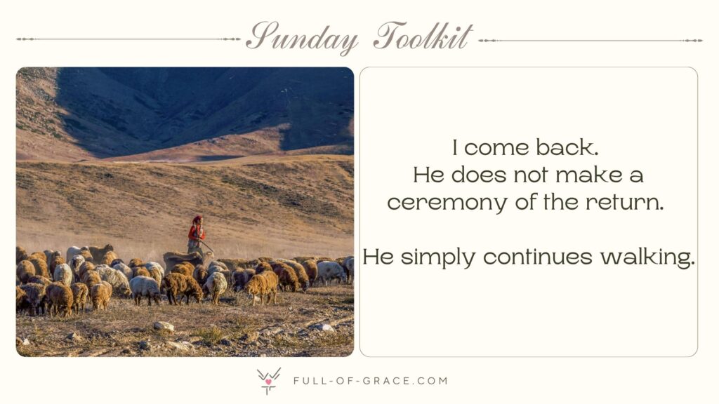 An image of a shepherd guarding his flock on green pastures - text overlay: I come back. He does not make a ceremony of the return. He simply continues walking. – Sunday Toolkit graphic, full-of-grace.com